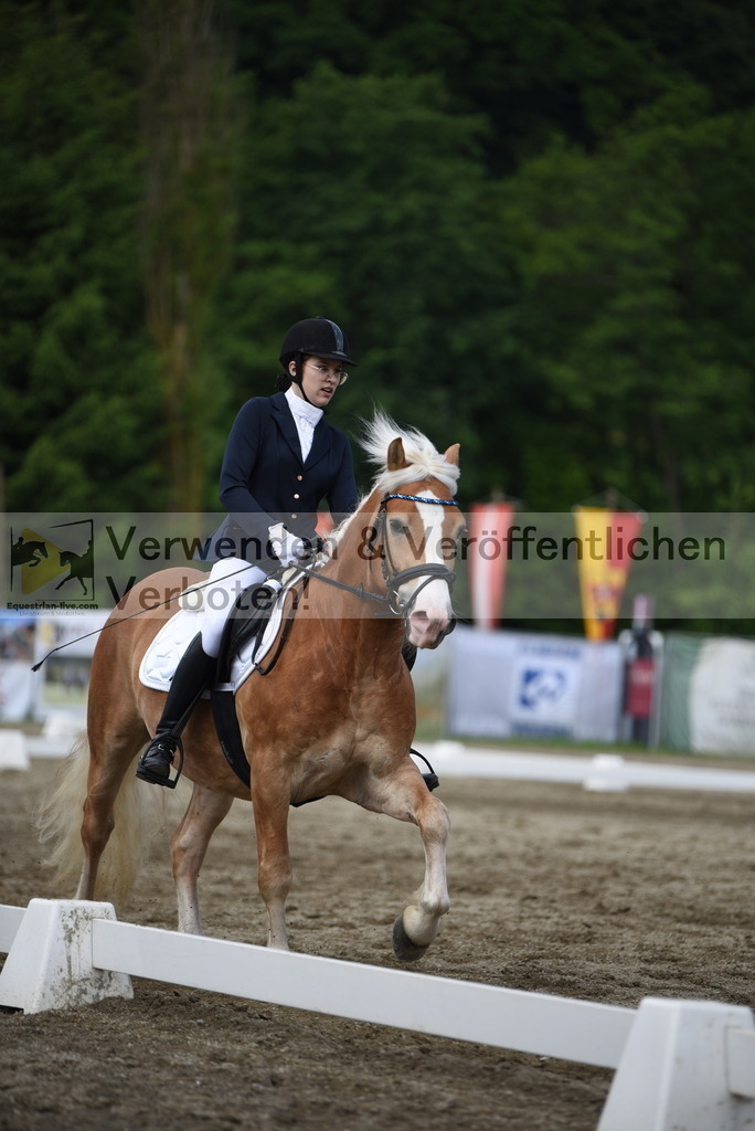DSC_8690 | equestrian-live-com