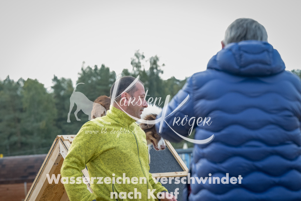 0923_ZZ92332-Bearbeitet | kk-dogfotos