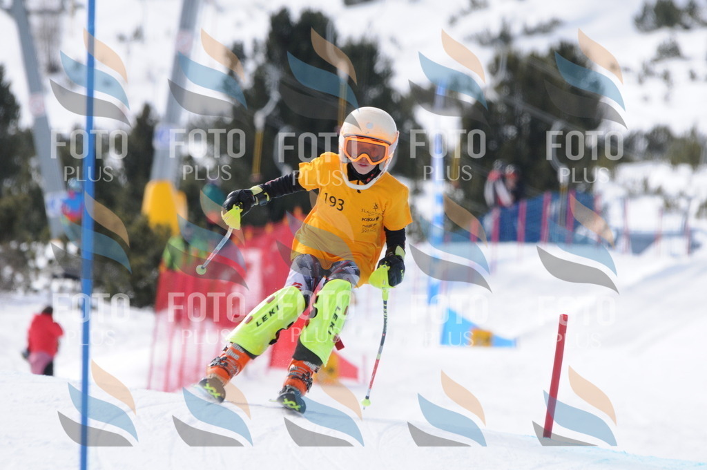 C7492 | holidayphoto