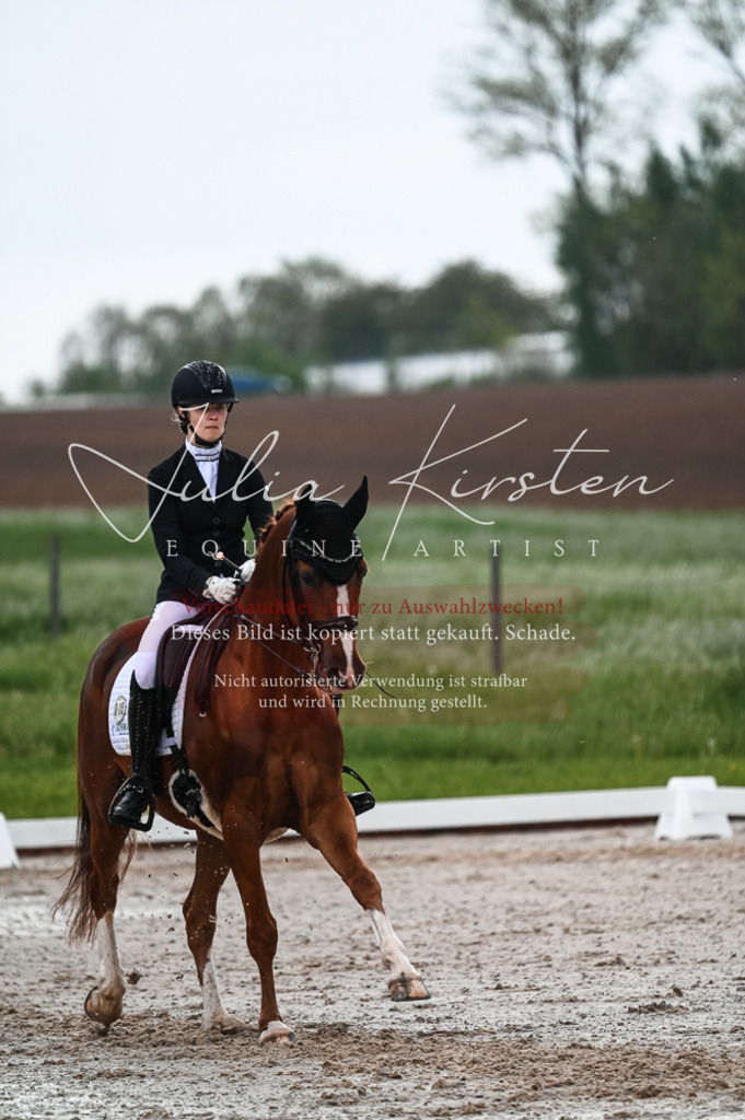 DSC_4265 | Pferde- und Turnierfotografie in Westsachsen. Pferdeportraits, Auftragszeichnungen und intuitive Kunst.