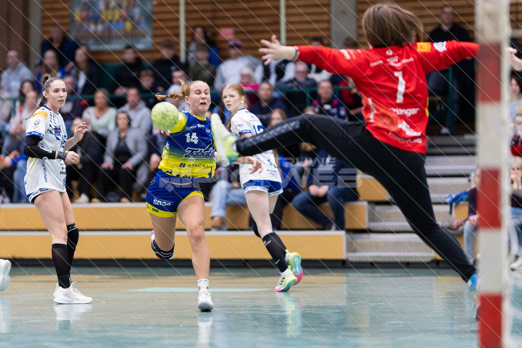 20251026_Picselweb-Fotografie_2R3_0497 | Dein Fotograf aus dem Landkreis Stade für Sport und Events - Realisiert mit Pictrs.com