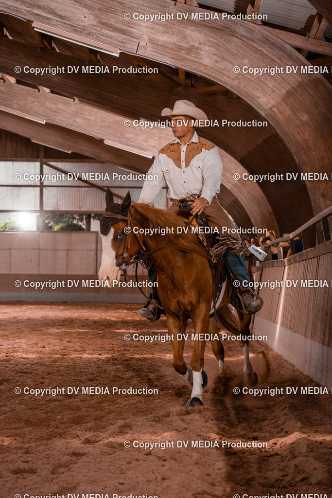 NE200573 | dv-media-shop - Realisiert mit Pictrs.com