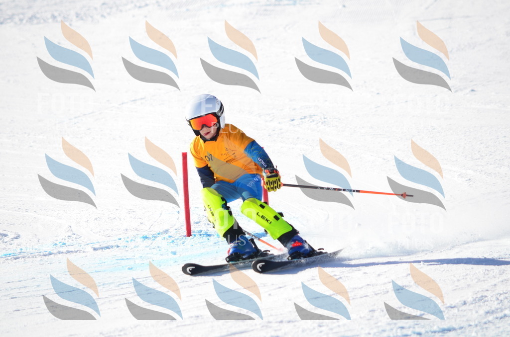 C6189 | holidayphoto