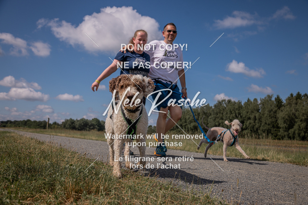 nelerasche_BuHu2026_SaCC10-11_87 | nelerasche
