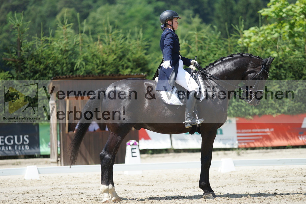 DSC05193 | equestrian-live-com