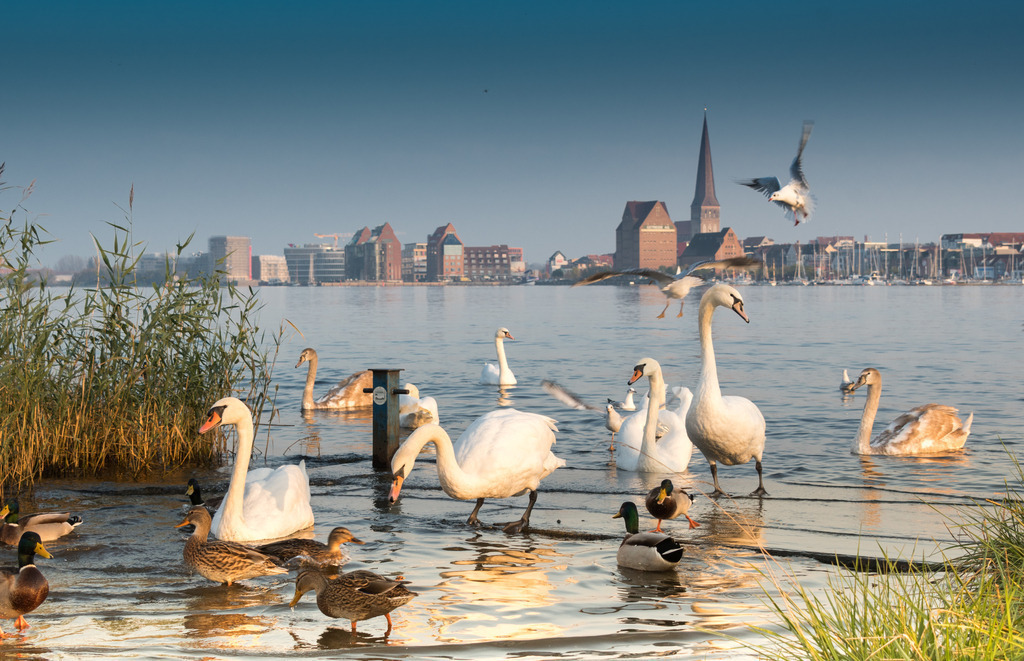 60x40_3 | Das Ostsee Atelier, enthält preisgekrönte Fotografien des Künstlers Holger Martens. Dünenbilder, Strandfotos, Ostseebilder, Fotografien vom Meer.