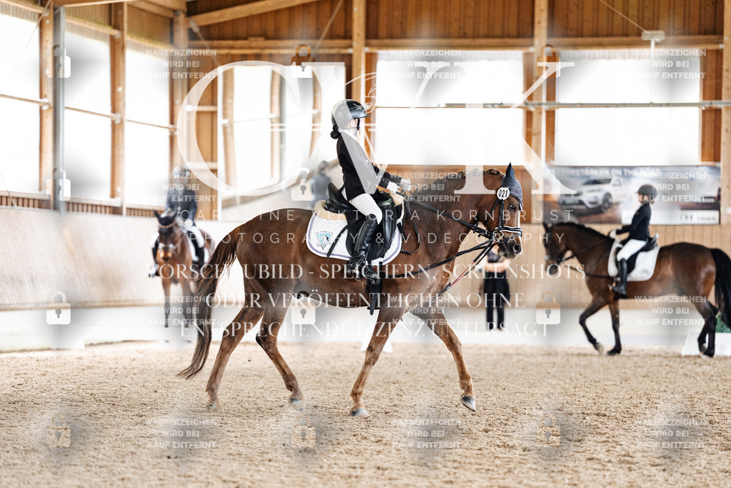 CK901723 | Turnierfotografie Pferdefotografie Trier Rheinland-Pfalz Pferdesport Reitsport Tierfotografie Sportfotografie Pferdevideo Pferdevideografie Equestrianvideography equestrianphotography  - Realisiert mit Pictrs.com