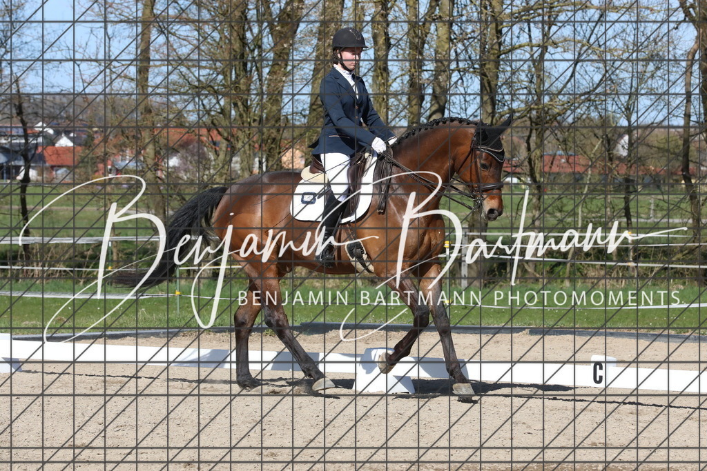 AZ2A4944 | Benjamin Bartmann Photomoments