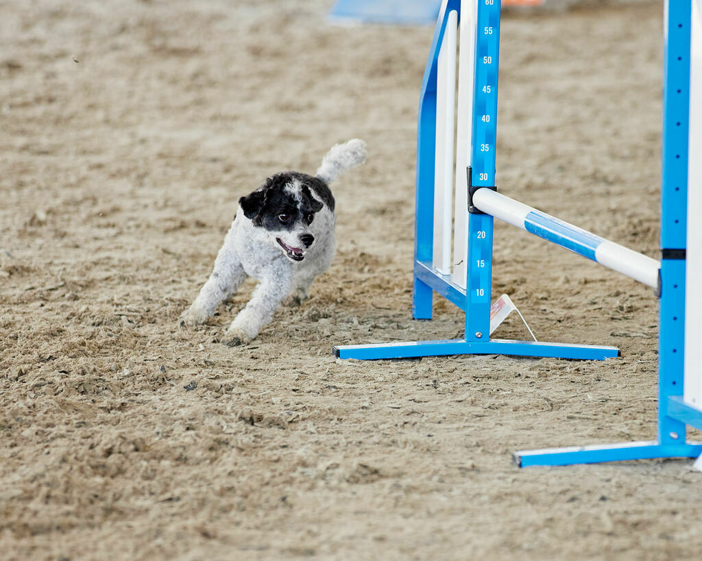 580B0118 | Peter Fridle Fotografie - Realisiert mit Pictrs.com