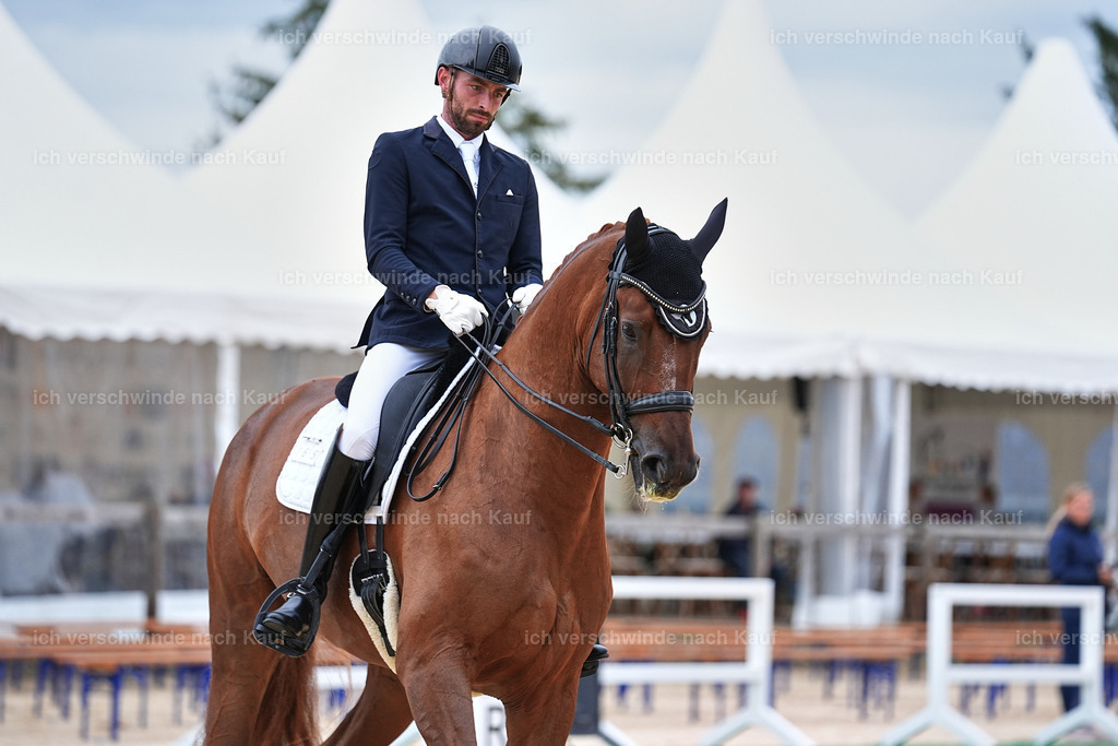 04_1-165-Dressur M__ -Marixx-2783 | working equitationturnier fotograf videograf stoibphotography marixx film working equitation deutschland reitsport turnierfotografie eventfotografie equestrian events