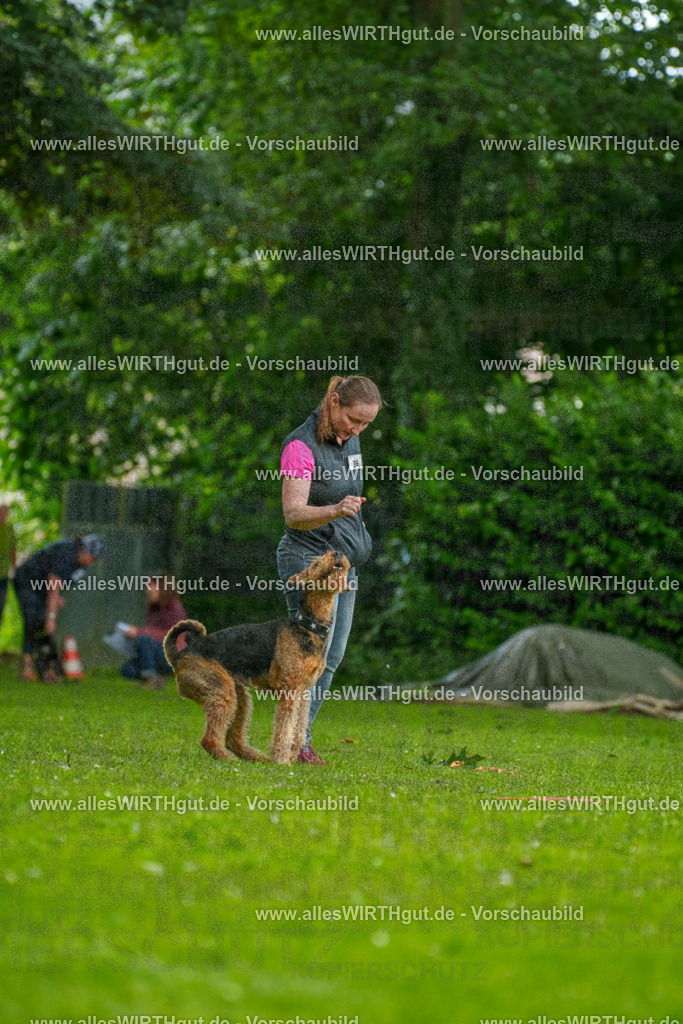 @allesWIRTHgut_Tierfotografie - www.allesWIRTHgut.de - 123807-7R509199 | Professionelle Tierfotografie in Mönchengladbach von Daniel Wirth (allesWIRTHgut). Liebevolle & natürliche Bilder von Hunden & Katzen für unvergessliche Erinnerungen.