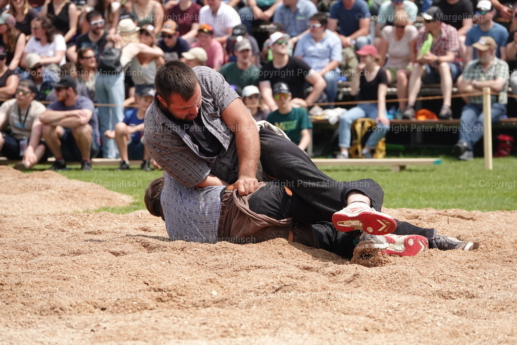 DSC04583 | Schwingen - Realisiert mit Pictrs.com