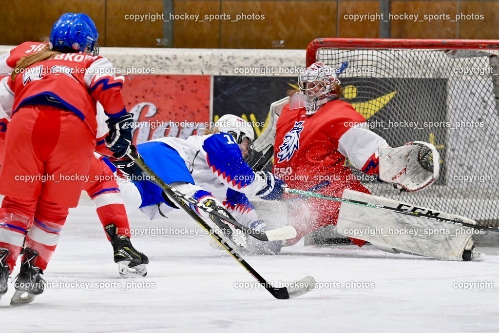 BST_5623 | hockey sports photos, Pressefotos, Sportfotos, hockey247, win 2day icehockeyleague, Handball Austria, Floorball Austria, ÖVV, Kärntner Eishockeyverband, KEHV, KFV, Kärntner Fussballverband, Österreichischer Volleyballverband, Alps Hockey League, ÖFB, 