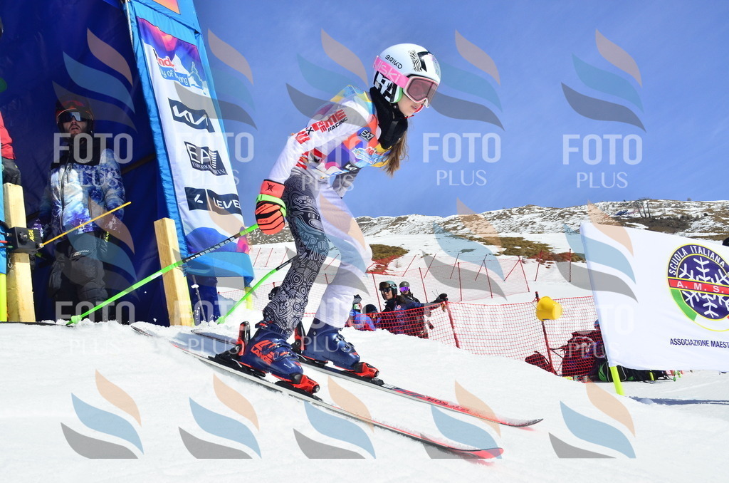 _ELE0527 | holidayphoto