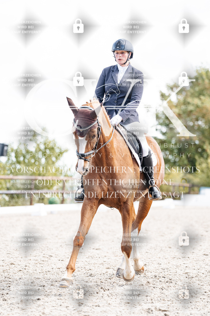 CK901900 | Turnierfotografie Pferdefotografie Trier Rheinland-Pfalz Pferdesport Reitsport Tierfotografie Sportfotografie Pferdevideo Pferdevideografie Equestrianvideography equestrianphotography  - Realisiert mit Pictrs.com