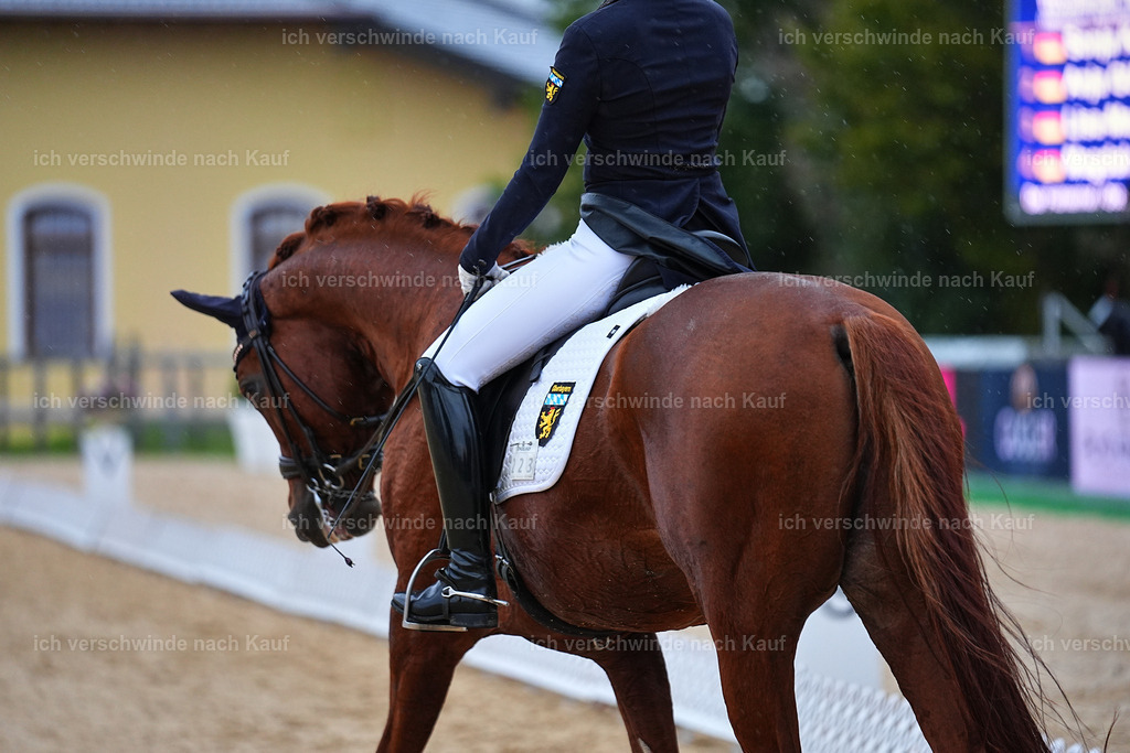 8_1-223-Klasse S_  -Marixx-4295 | working equitationturnier fotograf videograf stoibphotography marixx film working equitation deutschland reitsport turnierfotografie eventfotografie equestrian events