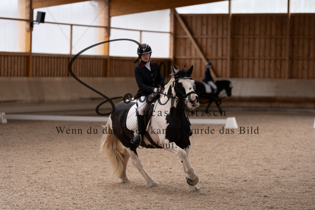 A7507141 | Pferdefotograf