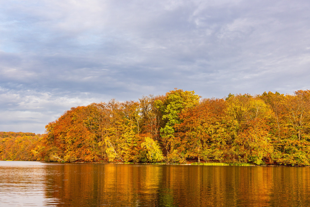 Blick über den See Schmaler Luzin auf die herbstliche Feldberger Seenlandschaft | Blick über den See Schmaler Luzin auf die herbstliche Feldberger Seenlandschaft.