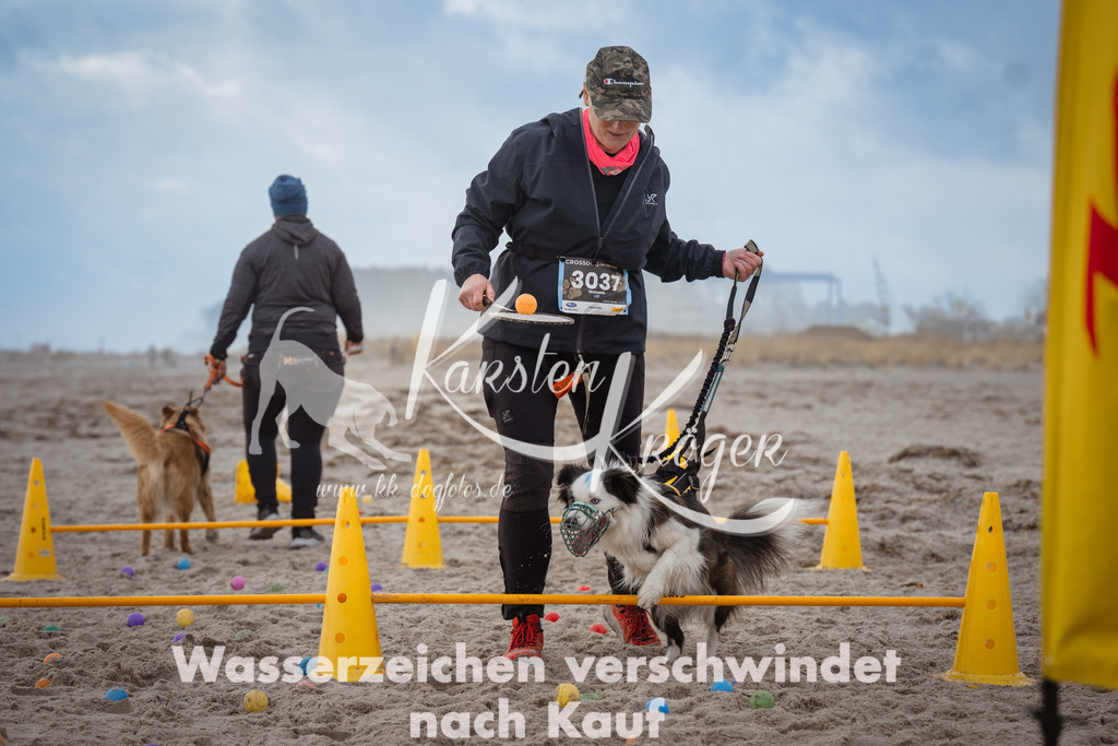 1205_ZZ93969 | kk-dogfotos