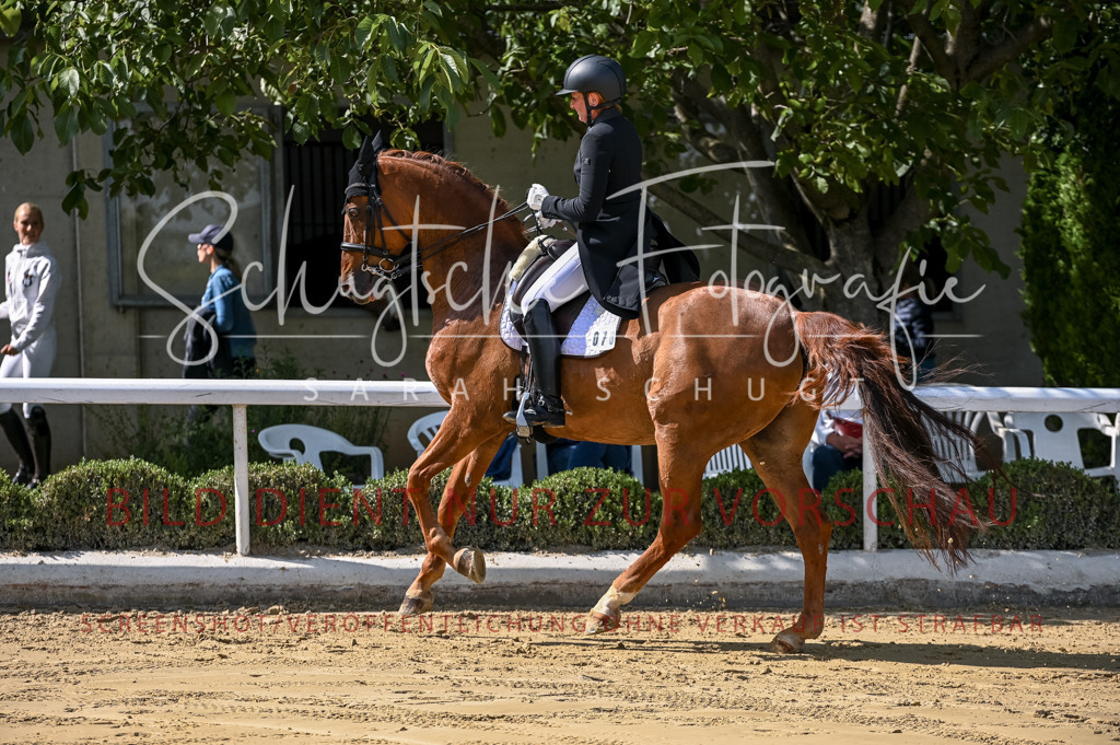 Schugtsche-Aluta25-58. Dressurprf.S1Kand.St.GeorgSpecial-307 | Schugtsche Fotografie - Realisiert mit Pictrs.com