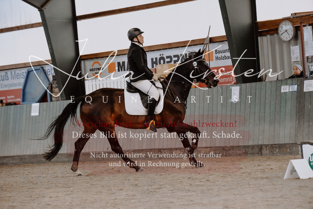 DSC_7441 | Pferde- und Turnierfotografie in Westsachsen. Pferdeportraits, Auftragszeichnungen und intuitive Kunst.