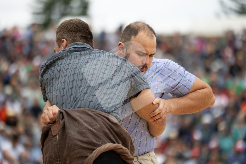 Rigi2025_1665 | Die Schwinger des Schwyzer Kantonalen Schwingerverbandes: Fotos, die Dynamik und Leidenschaft festhalten, sowie emotionale Momente aus dem traditionellen Schwingsport zeigen. - Realisiert mit Pictrs.com