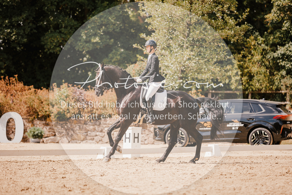 3I6A6090 | Stimmungsvolle Portraits und Reitsportfotografie im Ruhrgebiet und im Münsterland.

Pferdefotografie, Hundefotografie, Tierfotografie, Reportagen, Portraits von Tier und Mensch, Turnierfotografie in Bochum, Recklinghausen, Marl, Haltern am See, Dülmen.. - Realisiert mit Pictrs.com