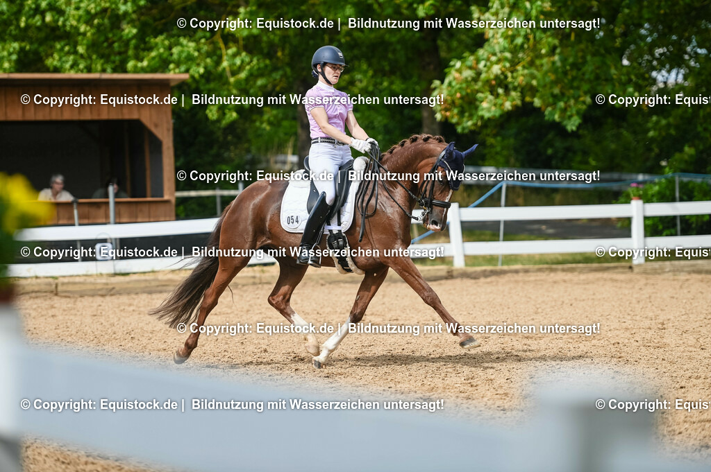 20230716_01_Dressurprüfung Kl.M_0398 | equistock