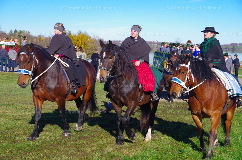 IMGP7547 | fotografiert von Axel PollmannLeonhardi Wallfahrt Benediktbeuern und Murnau, Fronleichnam, Fasching, Landschaft im Loisachtal und Benediktbeuern  - Realisiert mit Pictrs.com