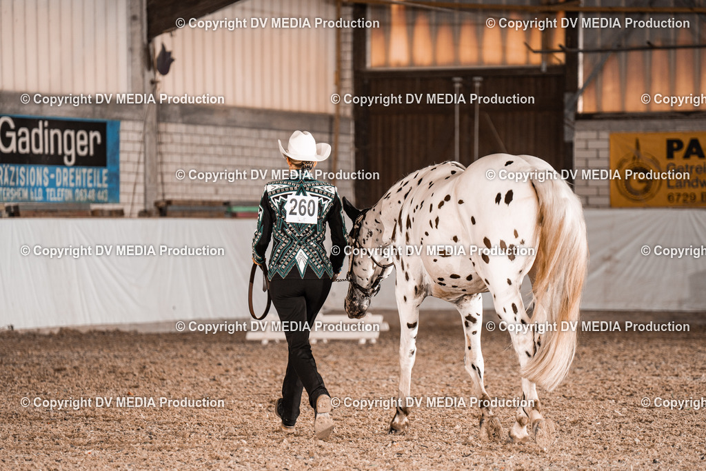 ZH200137 | dv-media-shop - Realisiert mit Pictrs.com