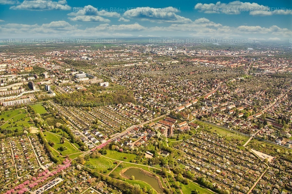 Texas__MG_8971 | Magdeburg Stadtteil Texas mit Holzweg und rosa Kirschblüte - Realisiert mit Pictrs.com