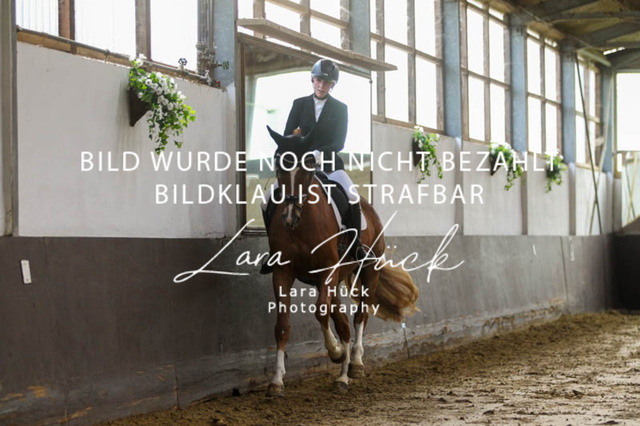 DKP45856 | larahueckfotografie