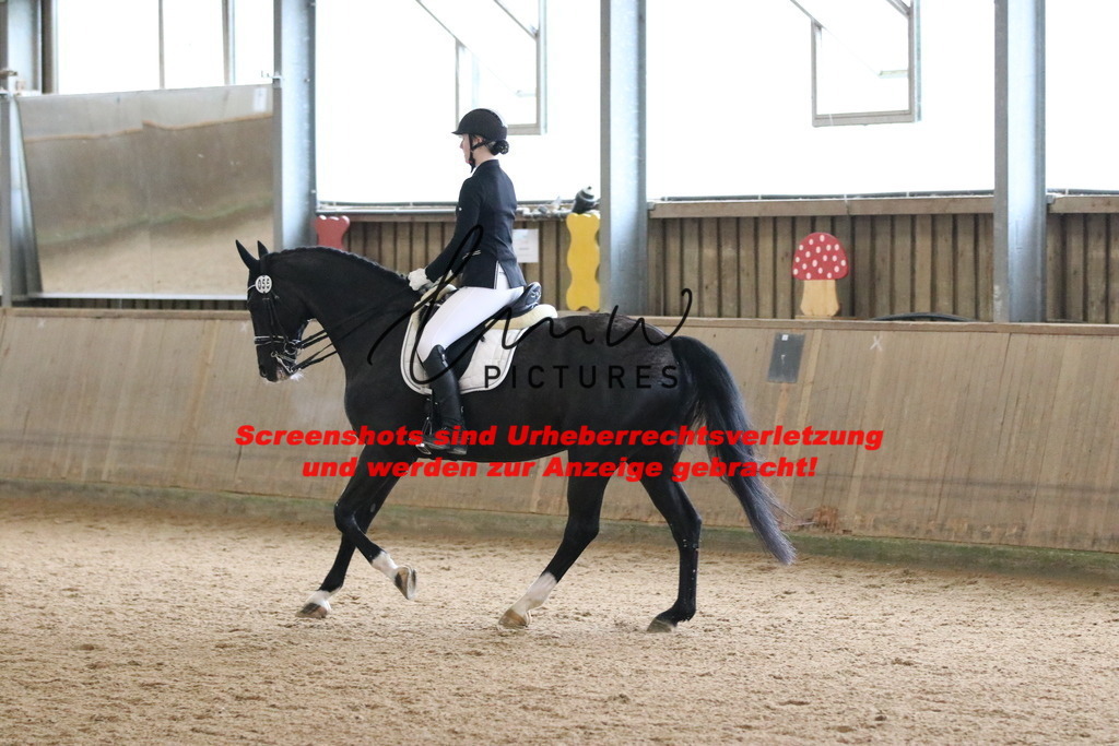 IMG_9531 | lmwpictures - Realisiert mit Pictrs.com