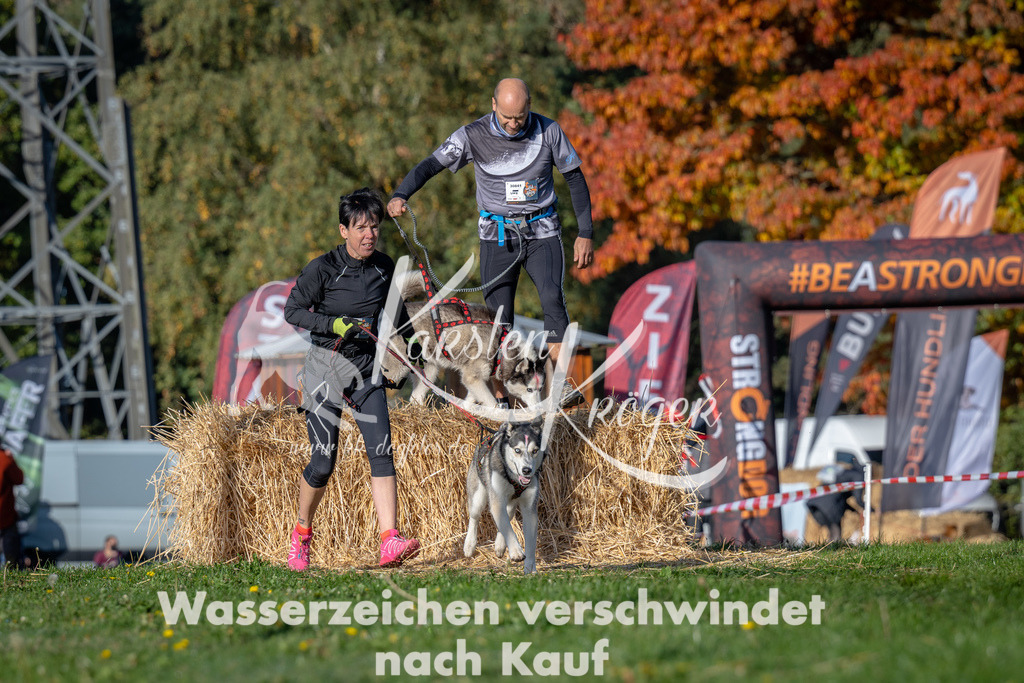 1000_ZZ91827 | kk-dogfotos