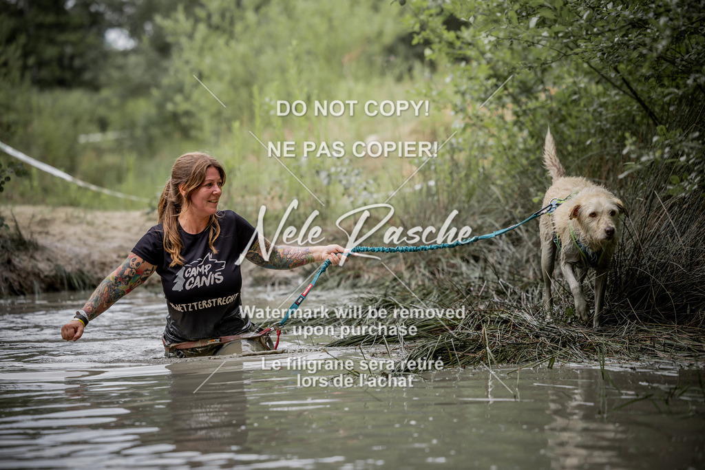 nelerasche_so0800-0930_209 | nelerasche