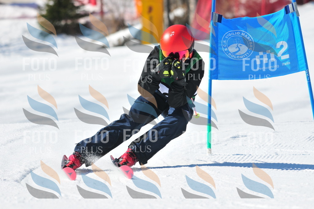 C3913 | holidayphoto