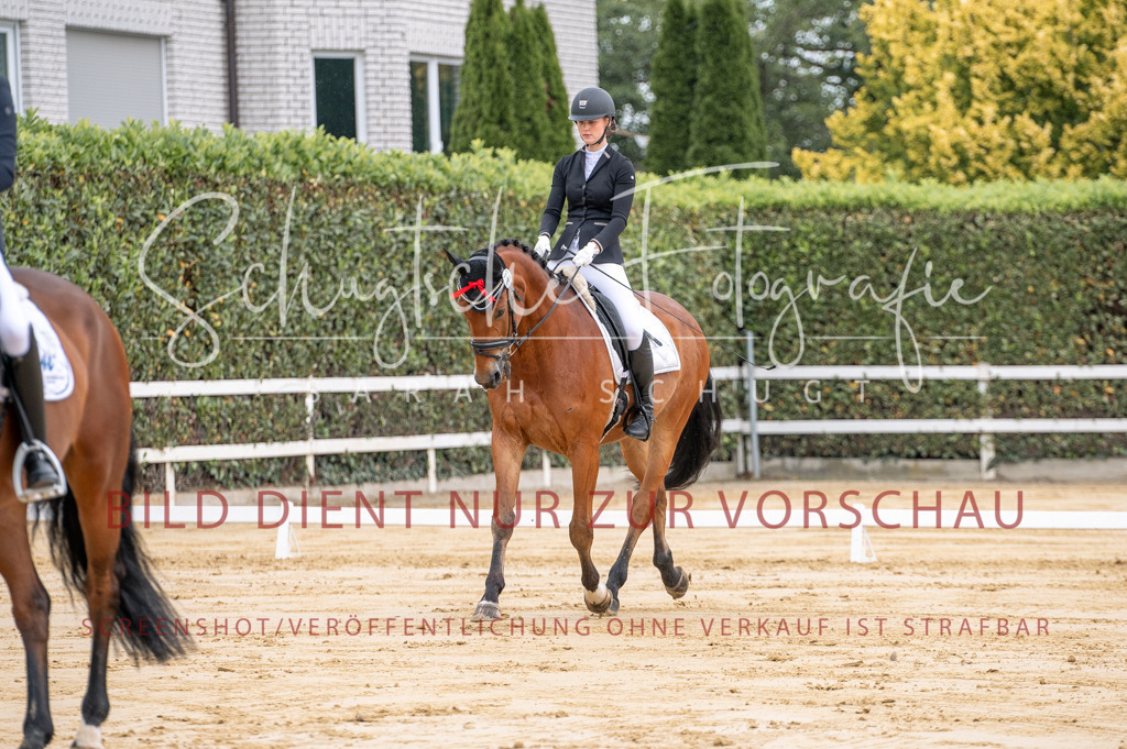 Schugtsche-Aluta25-41.Amat-Dressurprf.A_-54 | Schugtsche Fotografie - Realisiert mit Pictrs.com