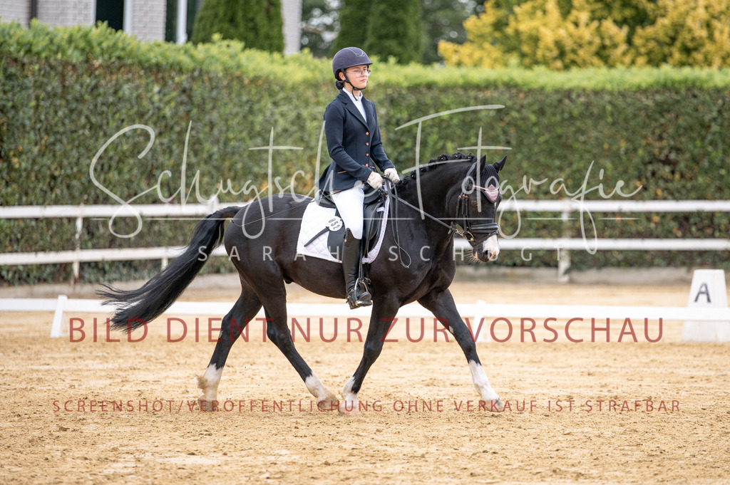 Schugtsche-Aluta25-40.DressurprfA_-467 | Schugtsche Fotografie - Realisiert mit Pictrs.com