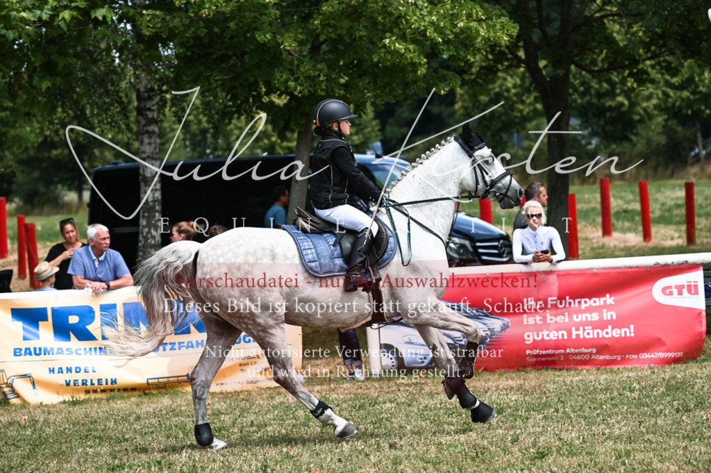 DSC_9825 | Pferde- und Turnierfotografie in Westsachsen. Pferdeportraits, Auftragszeichnungen und intuitive Kunst.