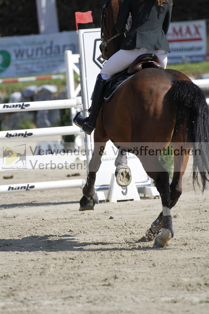 _MG_9248 | equestrian-live-com