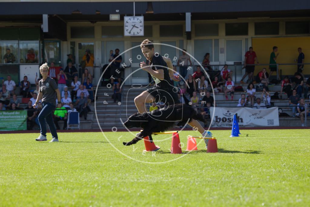 0L8A7995 | Hundefotografie, Tierfotograf, Pfotenfotografie, Fotoshooting Hund, Hunde Portrait, Hundesport, Hundeportraits, Heideshooting, Hunde, Sportfotograf, Hundefotograf, Turnierhundsport, THS,  - Realisiert mit Pictrs.com