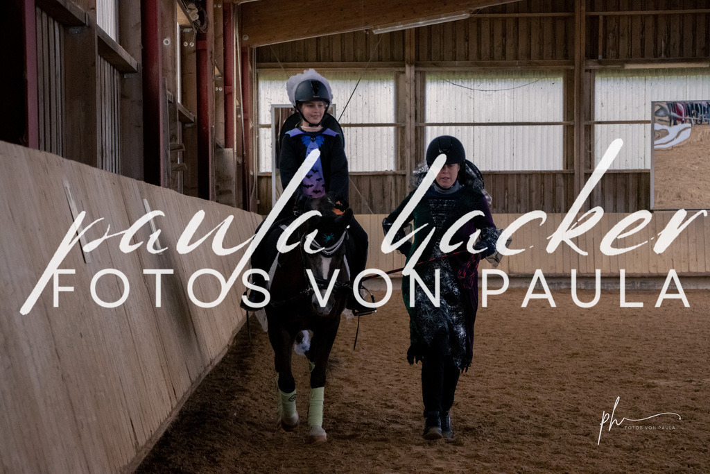 IMG_3970 | Erleben Sie dynamische Sport- und emotionale Tierfotografie in Süddeutschland mit Fotos von Paula. Spezialisiert auf Pferde- und Hundefotografie sowie Sportevents. Kontaktieren Sie mich für einzigartige und ausdrucksstarke Bilder Ihrer besonderen Momente. - Realisiert mit Pictrs.com