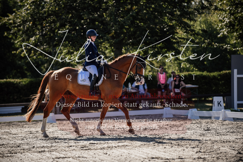 DSC_0466 | Pferde- und Turnierfotografie in Westsachsen. Pferdeportraits, Auftragszeichnungen und intuitive Kunst.