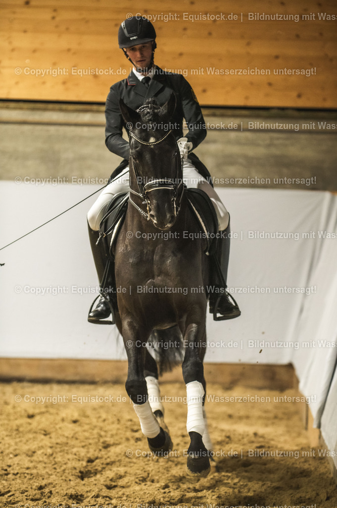 20240302_Hengstvorstellung_Marbach_TOMsPiC_1542 | equistock