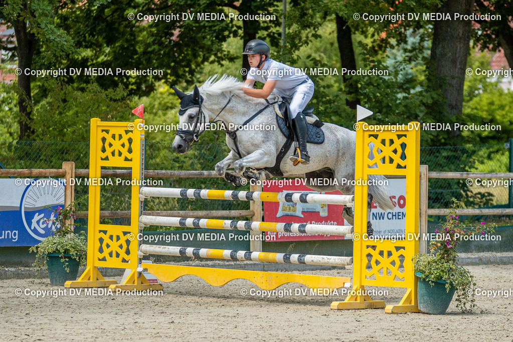 Hessische Tag 3-367 | dv-media-shop - Realisiert mit Pictrs.com