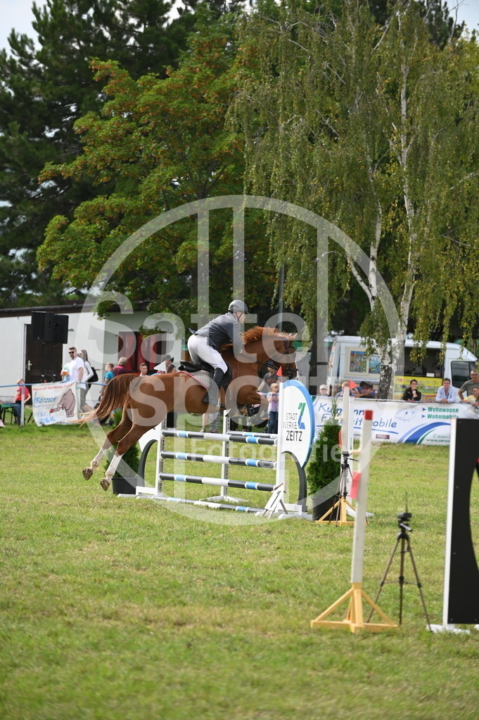 DSC_3015 | sattelsport - Realisiert mit Pictrs.com