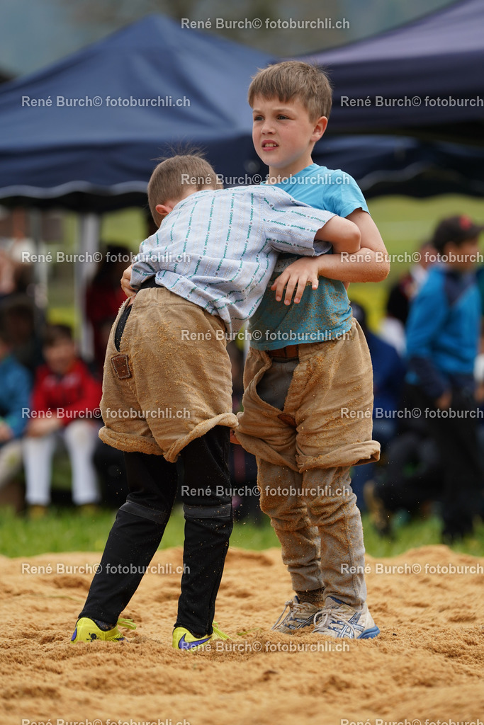 20220423-DSC08554 (2) | René Burch leidenschaftlicher Fotograf aus Kerns in Obwalden.  Hier finden sie Sport, Landschaft und Natur Fotografie.
 - Realisiert mit Pictrs.com