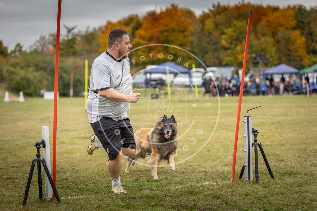 Pfotenfotografie_DV3A8349 | Hundefotografie, Tierfotograf, Pfotenfotografie, Fotoshooting Hund, Hunde Portrait, Hundesport, Hundeportraits, Heideshooting, Hunde, Sportfotograf, Hundefotograf, Turnierhundsport, THS,  - Realisiert mit Pictrs.com