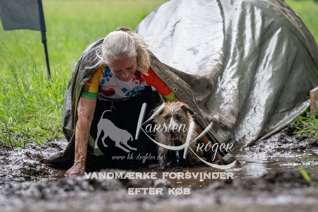 1116_ZZ92263 | kk-dogfotos