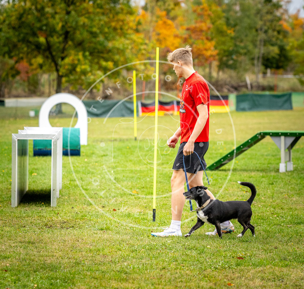 Pfotenfotografie_DV3A0687 | Hundefotografie, Tierfotograf, Pfotenfotografie, Fotoshooting Hund, Hunde Portrait, Hundesport, Hundeportraits, Heideshooting, Hunde, Sportfotograf, Hundefotograf, Turnierhundsport, THS,  - Realisiert mit Pictrs.com